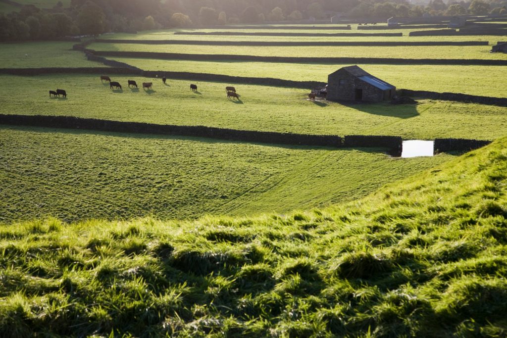 Lush England landscapes hiking creates great opportunities for active vacations