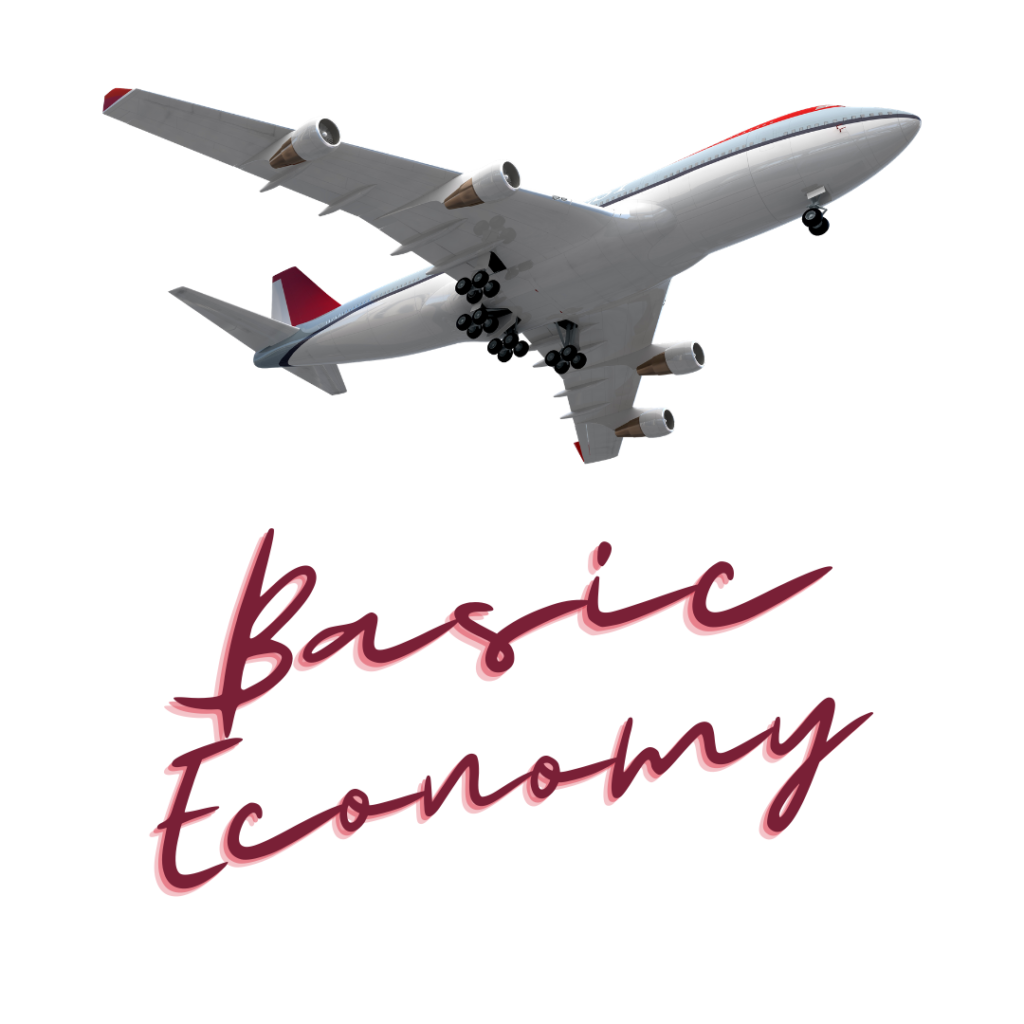Basic economy flights