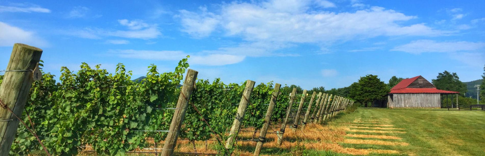 Charlottesville, VA Winery
