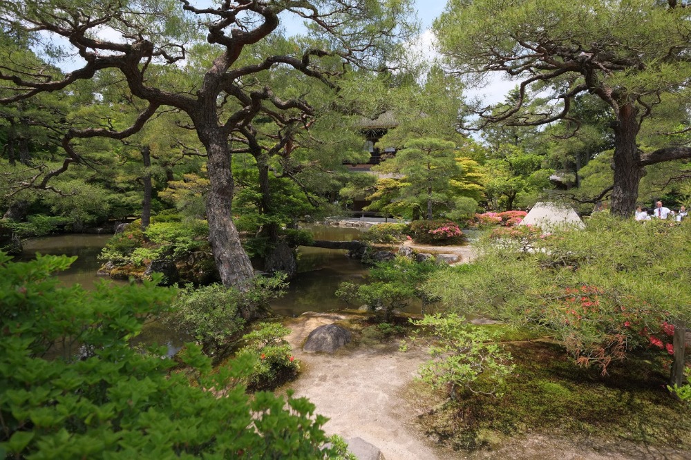 Zen garden