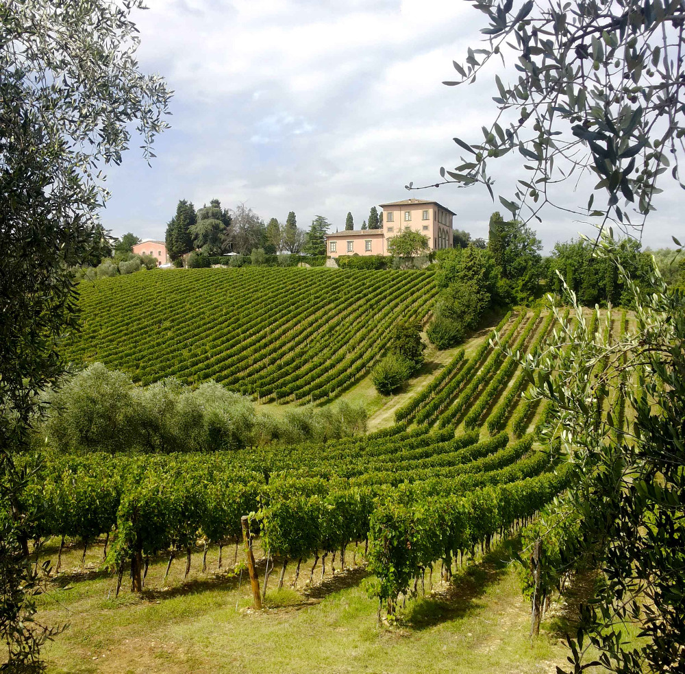 Chianti Region Tuscany