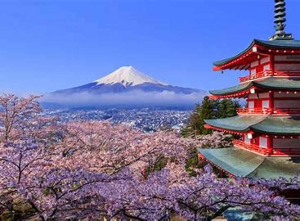Mt. Fuji