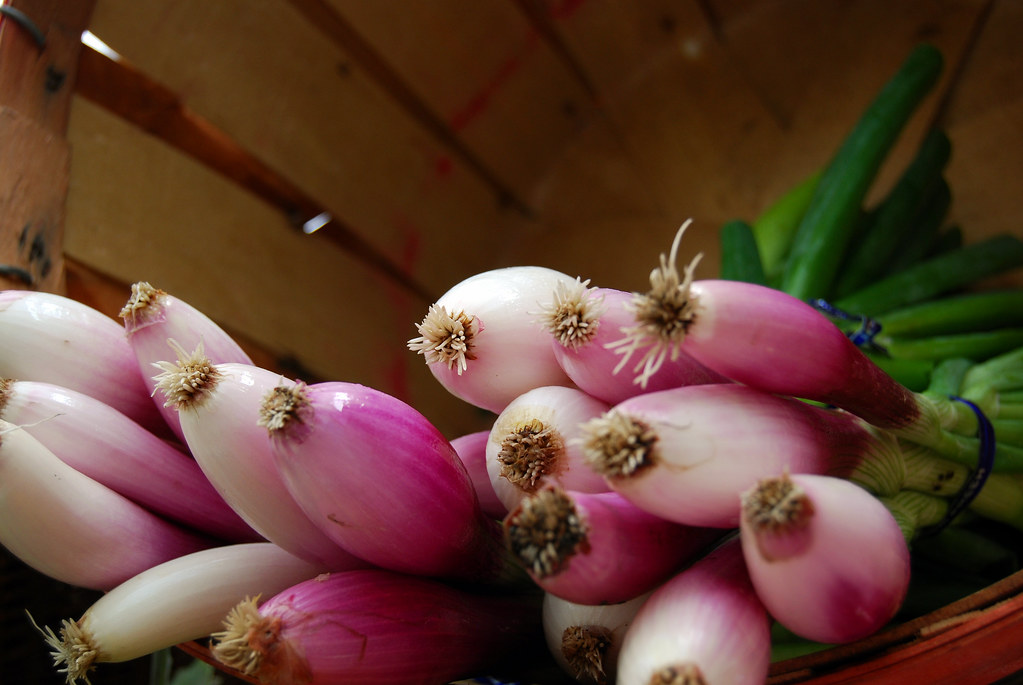 Tropea red onion