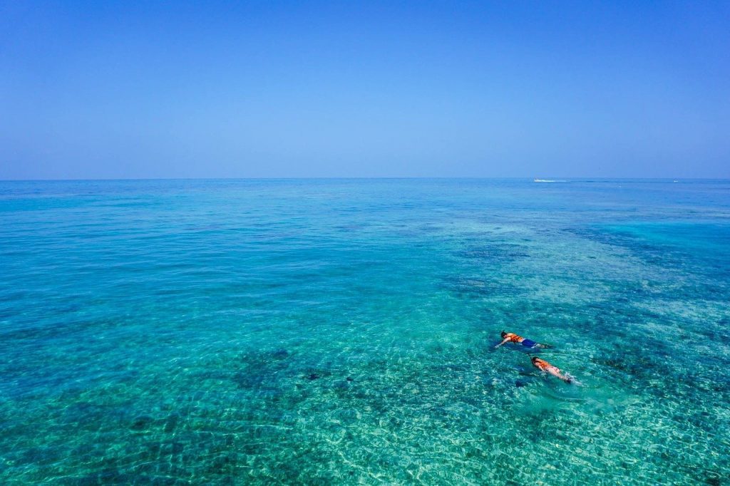 Snorkeling 