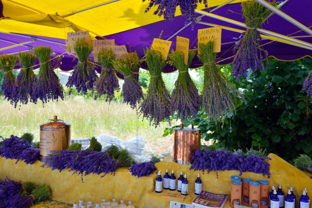 Lavender festival in Provence France