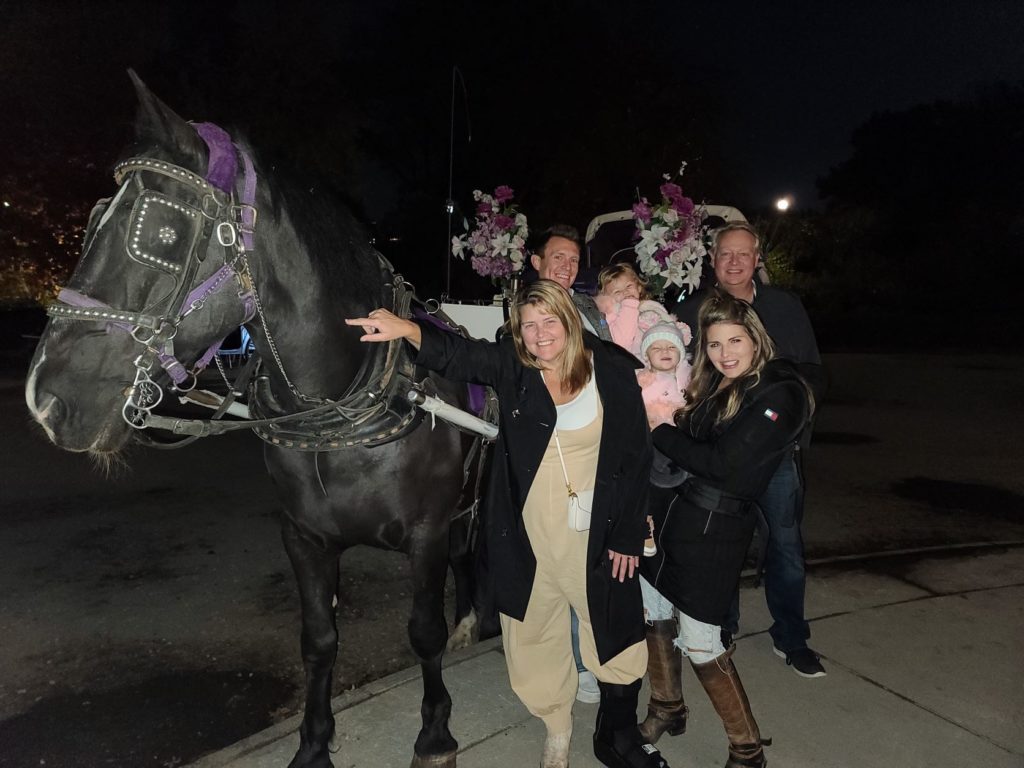 Central Park Carriage Ride