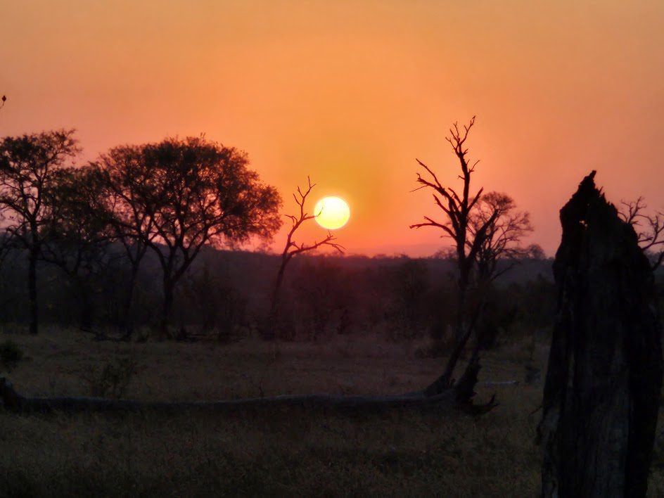 African sunset