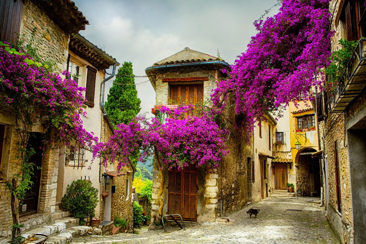 Provence