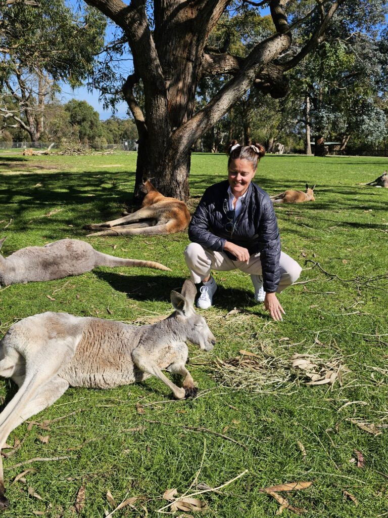 Cathy Rowland feeding kangaroos at Cleland Wildlife Park in the Adelaide Hills during an Australia wildlife experience.