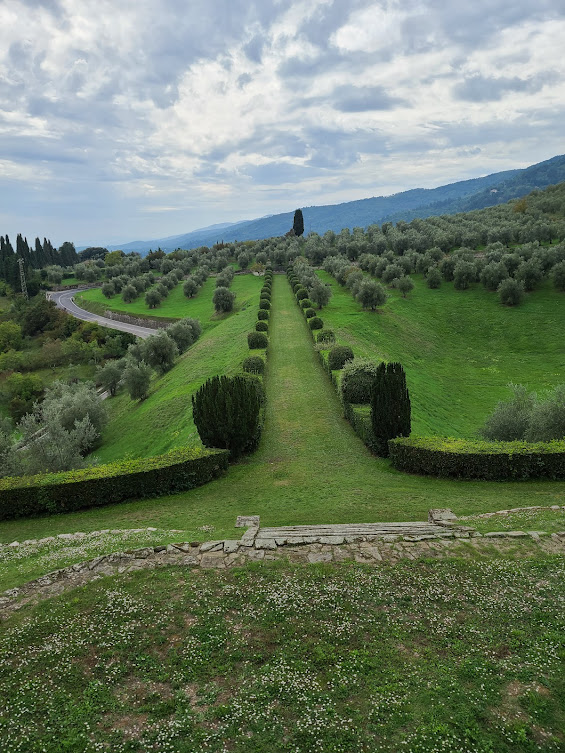 Scenic view of olive groves and rolling hills at Torre a Cona wine estate in Tuscany, a historic vineyard property outside Florence known for wine, olive oil, and countryside experiences.
