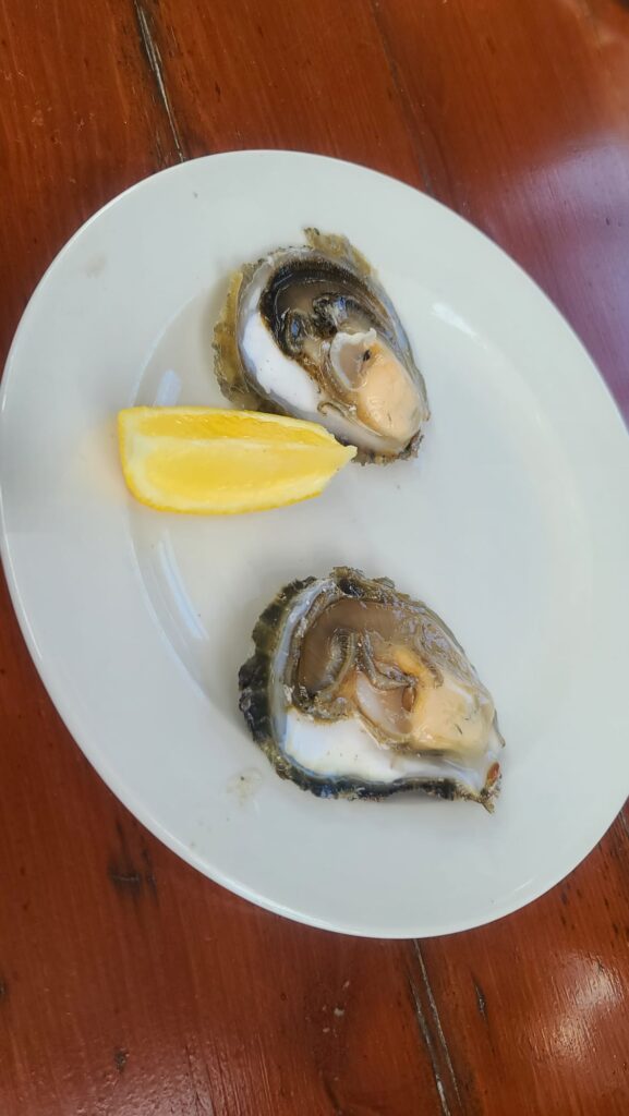 Fort Collins-based luxury travel advisor features two oysters on the half shell with lemon, plated on white against a dark wooden table.