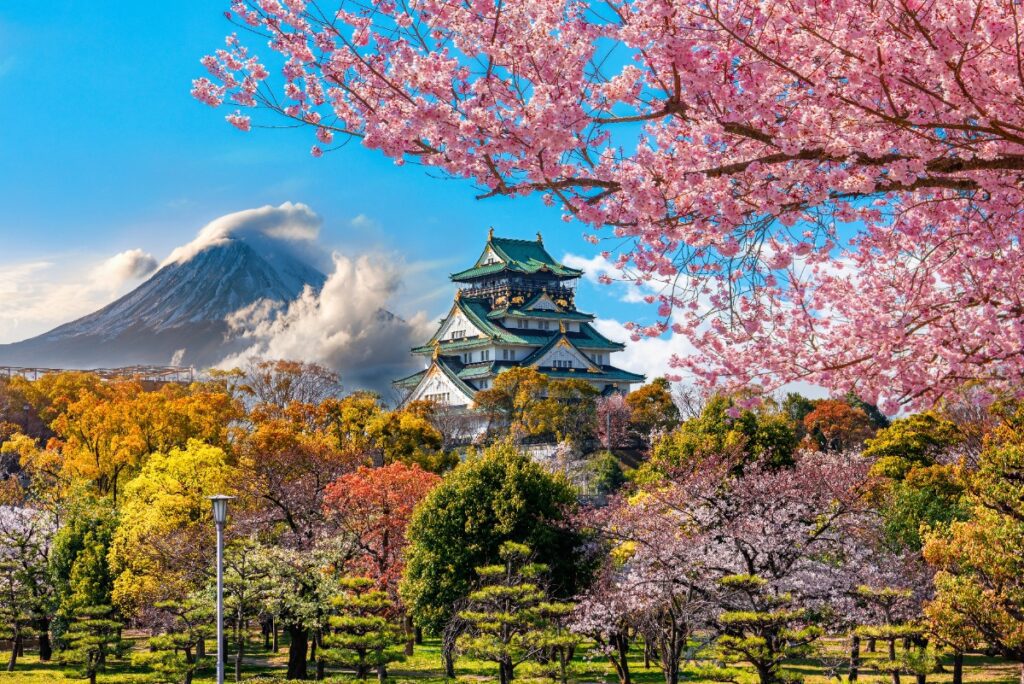 Osaka Castle surrounded by cherry blossoms in full bloom with Mount Fuji rising through the clouds in the background — a stunning example of why luxury Japan travel belongs on every serious traveler's bucket list.
