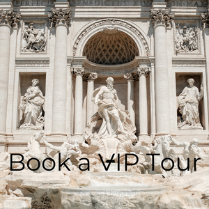 Book your VIP Tour (1)